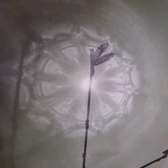 Vidéo témoignant d'une proposition scénographique pour présenter mon travail. Art cned Séquence 4