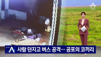 사람 던지고 버스 공격…공포의 인도 코끼리