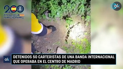 Detenidos 50 carteristas de una banda internacional que operaba en el centro de Madrid