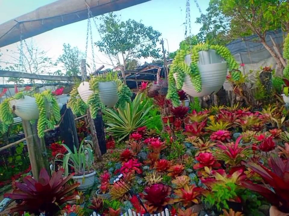 Botanical Garden