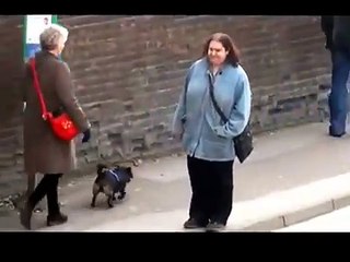 Dancing queen at bus stop Original Video