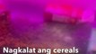 Pilyong aso, huli pero di kulong?! | GMA Integrated Newsfeed