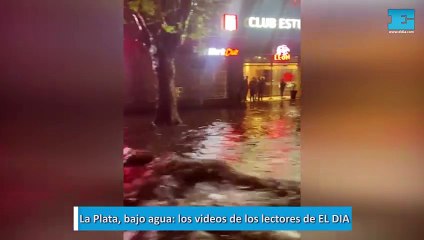 La Plata, bajo agua: los videos de los lectores de EL DIA