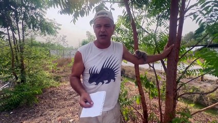 Frank Cuesta estalla como nunca contra Pedrojota por manipular unas palabras suyas sobre Ibai Llanos