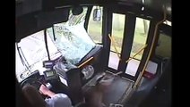 OMG ciervo vs Autobus