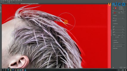 31.Thực hành làm hiệu ứng Double Exposure nghệ thuật