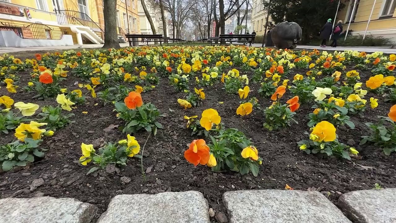 Gazeta Lubuska. Wideo sonda. Pierwszy dzień wiosny.