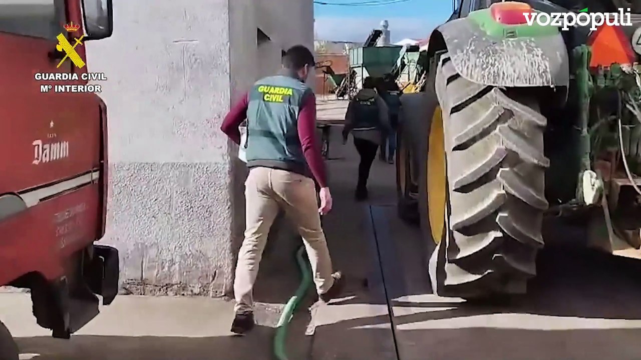 Detenidas seis personas por robar más de 15 toneladas de aceituna en Madrid