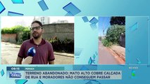 Mato alto em terreno aumenta risco de dengue e preocupa moradores do interior de São Paulo