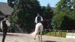 Dressage. Haras de la Roche Sur Yon.