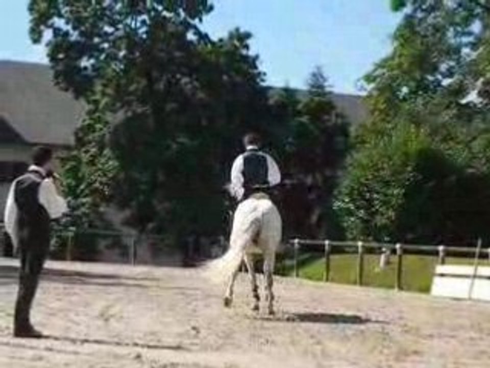 Dressage. Haras de la Roche Sur Yon.
