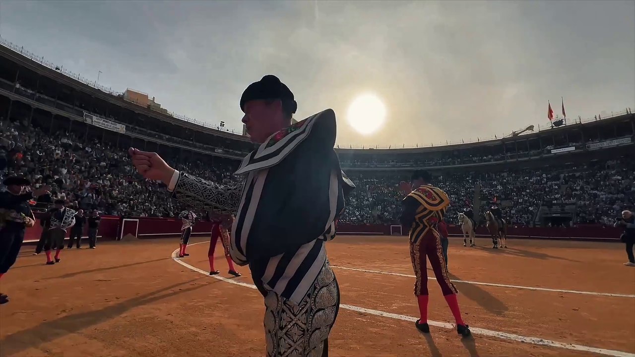 Fallas 2024 Ambiente