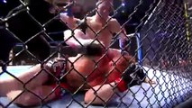 UFC 160 Velasquez vs Bigfoot 2