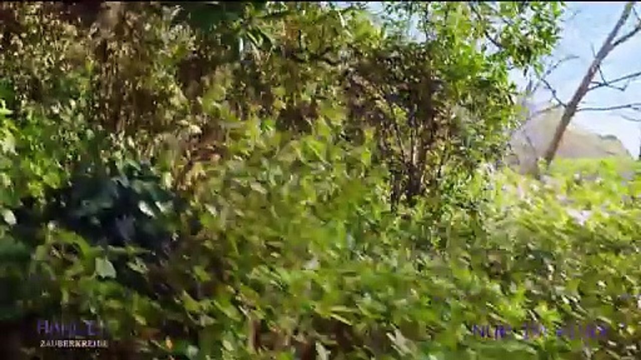 Harold und die Zauberkreide Trailer DF