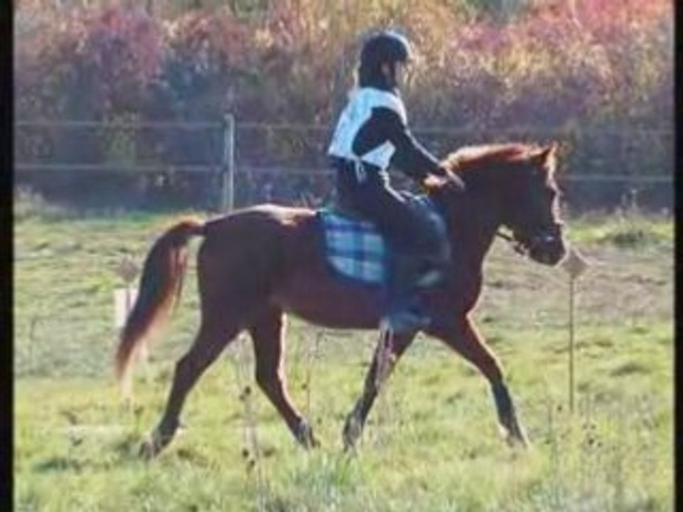 Mon Loulou Ch'TaiiMe