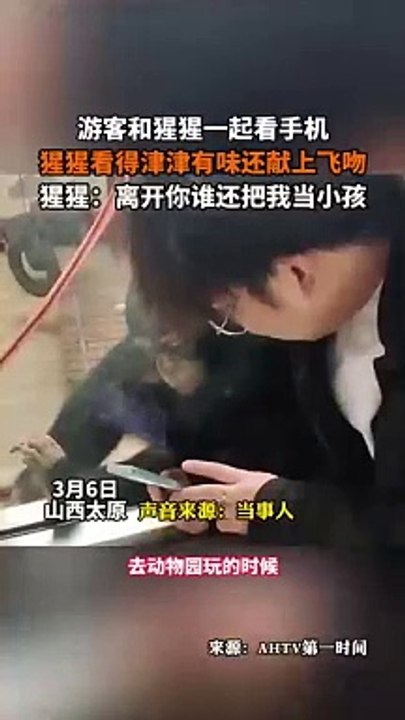 男孩和猩猩一起看手機，猩猩獻上飛吻表示感謝。Man showed the chimpanzee his phone, chimpanzee blew a kiss. #funny #kiss #reels