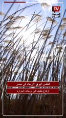 ارتفاع درجات الحرارة.. بيان الأرصاد اليوم الأربعاء 20 مارس 2024