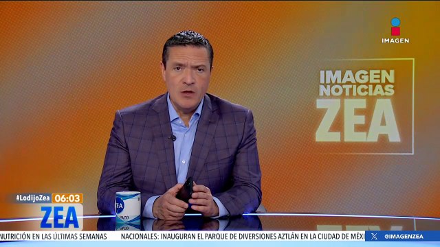 Lanzan SOS por felinos de la fundación Black Jaguar-White Tiger