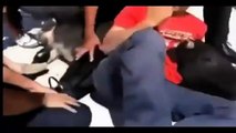 Toro de 200 kilos arrolla a un joven en España