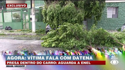 Vítima presa dentro de veiculo após queda de árvore conversa com Datena