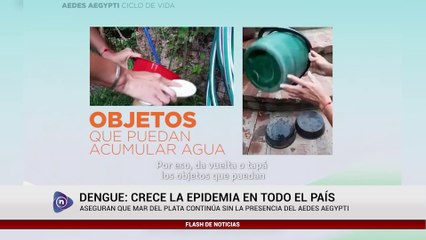 DENGUE CRECE LA EPIDEMIA EN TODO EL PAÍS