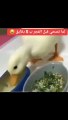 لما اصحي قبل الغجر بخمس دقايق