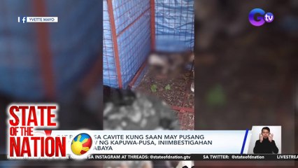 Cat pound sa Cavite kung saan may pusang kumain daw ng kapuwa-pusa, iniimbestigahan kung nagpabaya | SONA