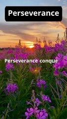 Useful sayings for everyone14