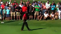 Tiger Woods falls to knees