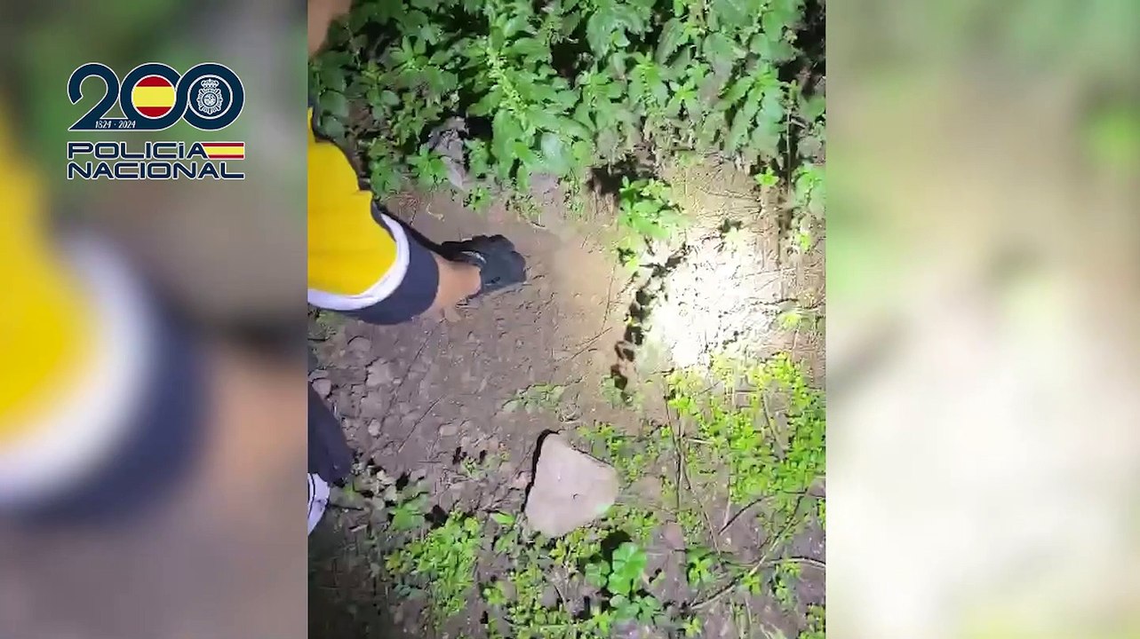 Desarticulada una organización criminal de carteristas en Madrid