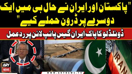 US Deputy Secretary of State Donald Lu's statement regarding Pakistan-Iran gas pipeline Project
