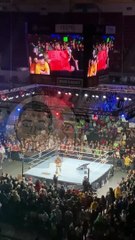 Cody Rhodes - WWE Road to WrestleMania NorthCharleston