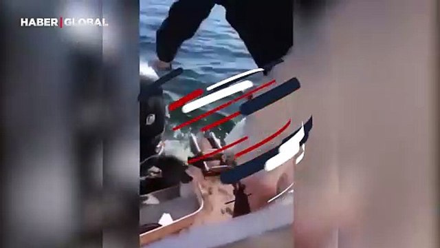 O kaçtı katil balina kovaladı, imdadına yetişen ise...