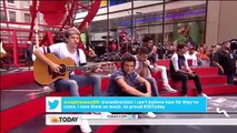 Today Show One Direction performs live Little Things