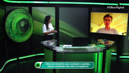 Olhar do Amanhã: para combater a solidão, idosos receberão cão-robô na Inglaterra