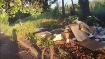 Em vídeo, moradora mostra terrenos abandonados no Brasmadeira e faz apelo às autoridades responsáveis