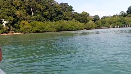 nature #beauty of Nature #nature #naturevibes
