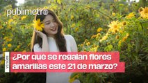 ¿Por qué se regalan flores amarillas el 21 de marzo?