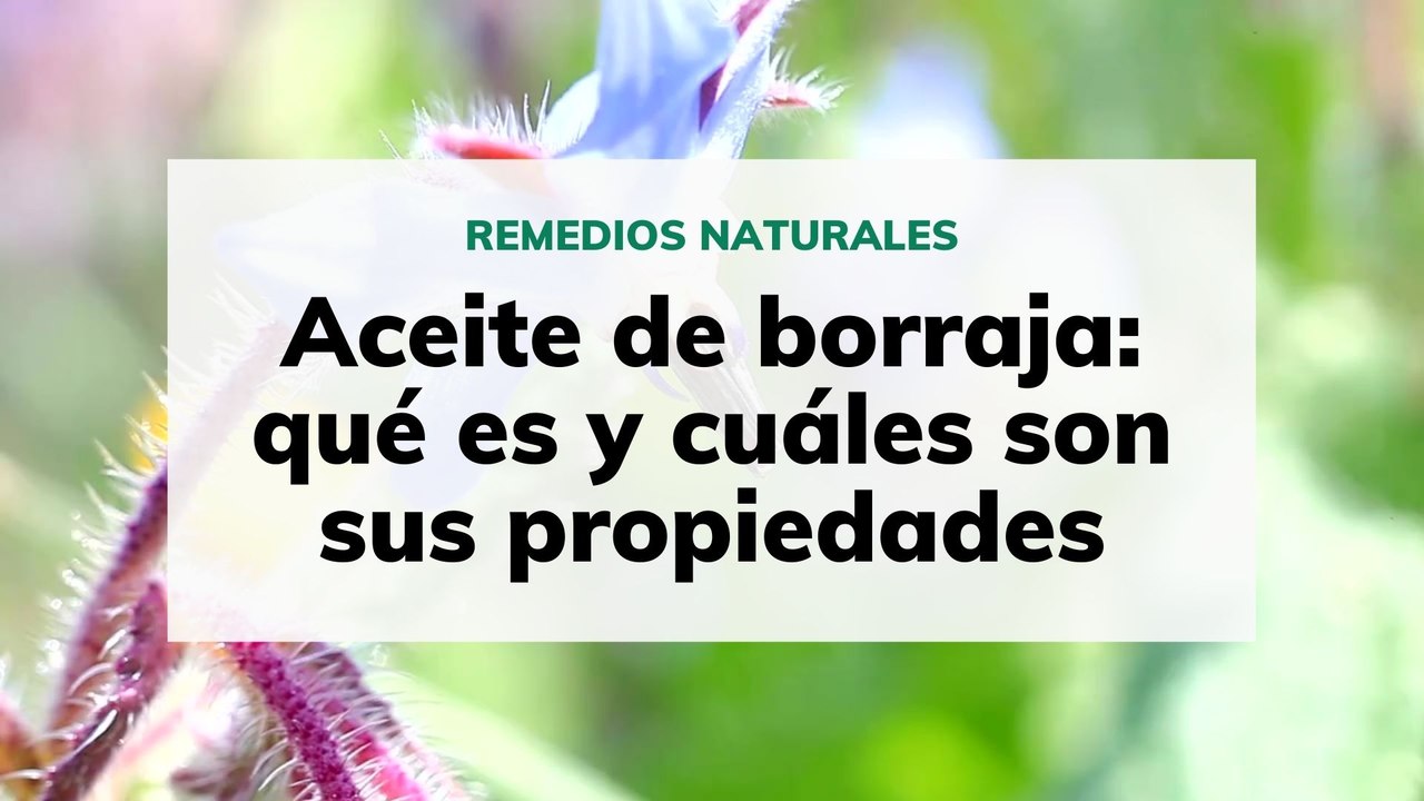 Aceite de borraja: qué es y cuáles son sus propiedades