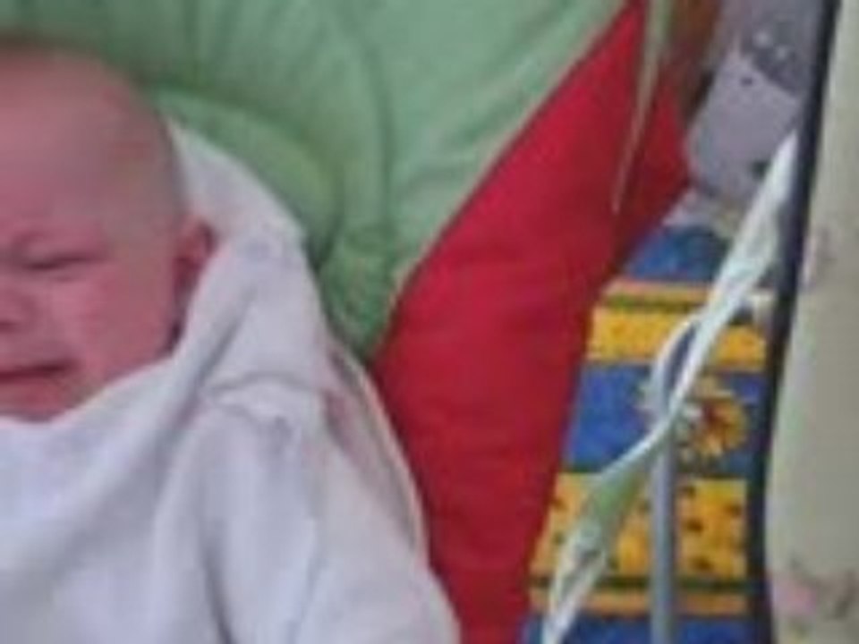 Premières cuillères de carotte