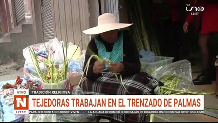 Palmitos para semana santa