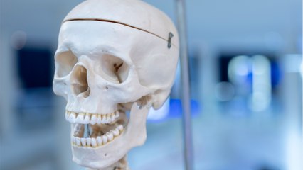 Forscher untersuchen menschliche Gehirne: 12.000 Jahre alt und außergewöhnlich gut erhalten geblieben