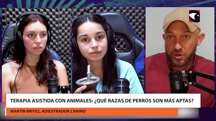Terapia asistida con animales ¿Qué razas de perros son más aptas?