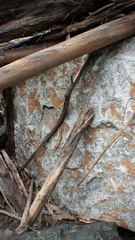 sniper DENTED my mask!