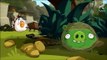 ANGRY BIRDS TOONS GREEN PIG SOUP