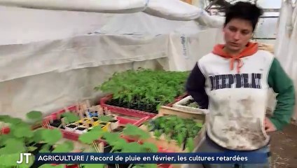 AGRICULTURE / Record de pluie en février, les cultures retardées