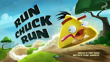 Angry Birds Toons Run Chuck Run