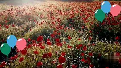 compleanno 20.03.2024