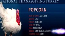 Popcorn es el pavo que fue perdonado este año por Barack Obama