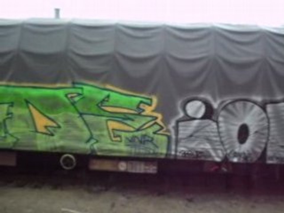 bache